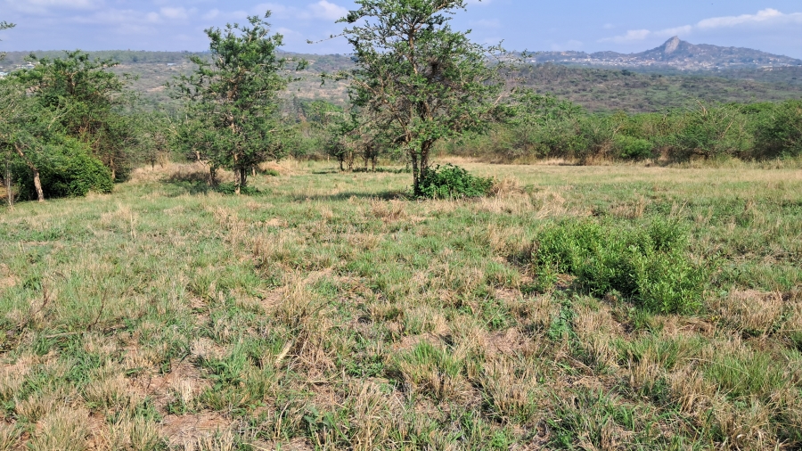 0 Bedroom Property for Sale in Granite Hill Mpumalanga
