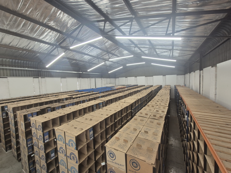 To Let commercial Property for Rent in White River Industrial Mpumalanga