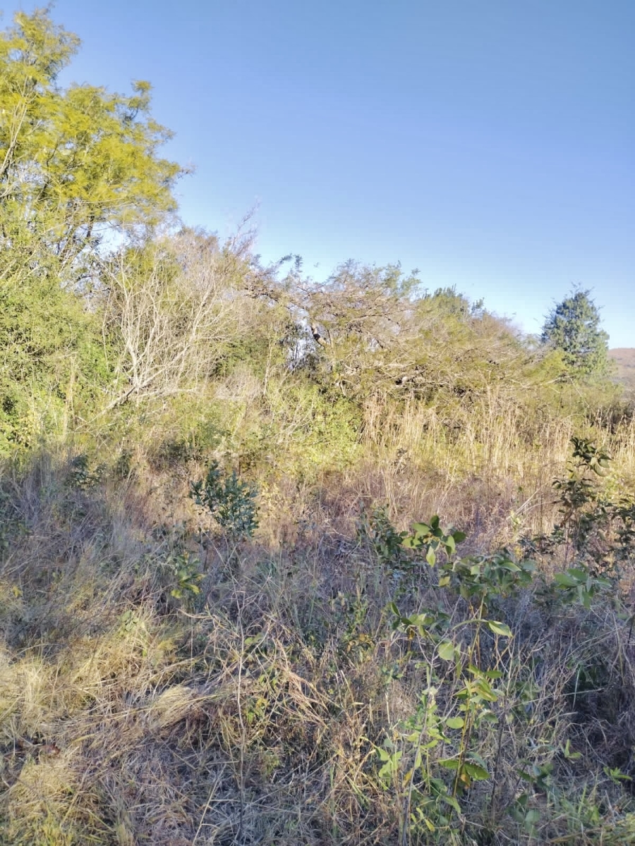 0 Bedroom Property for Sale in Nelspruit Rural Mpumalanga