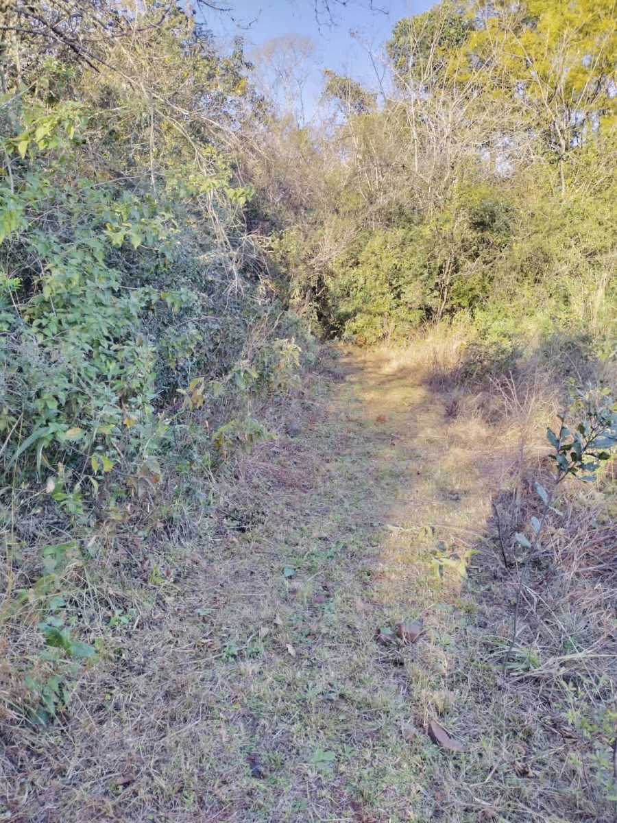 0 Bedroom Property for Sale in Nelspruit Rural Mpumalanga