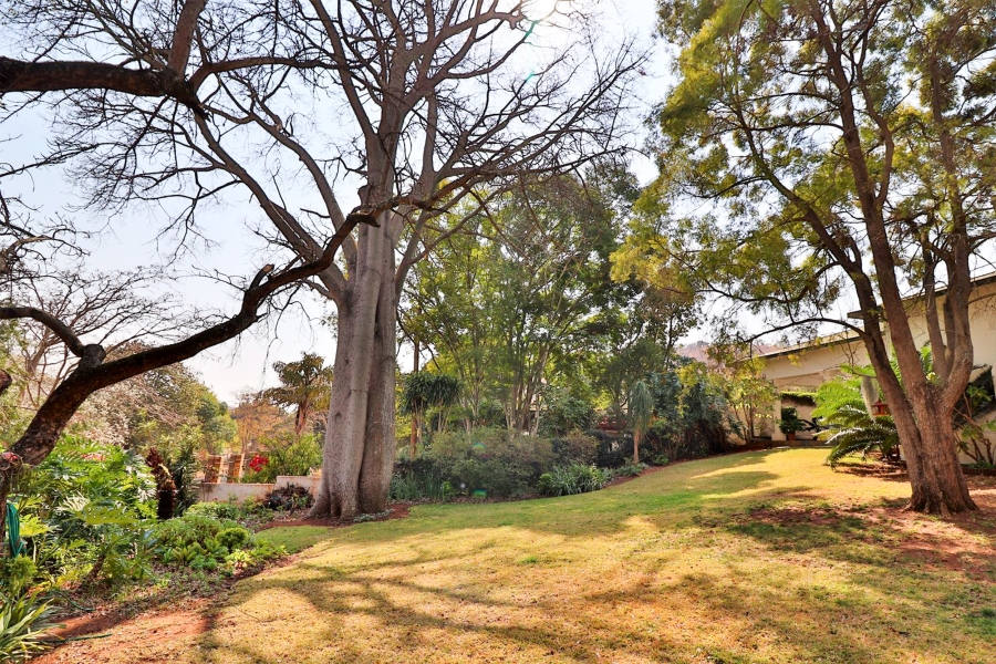 4 Bedroom Property for Sale in Barberton Mpumalanga