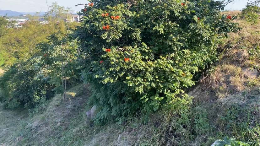 0 Bedroom Property for Sale in Riverside Park Mpumalanga