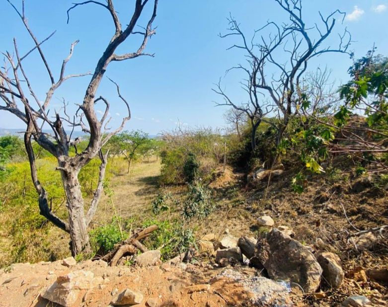 0 Bedroom Property for Sale in Riverside Park Mpumalanga