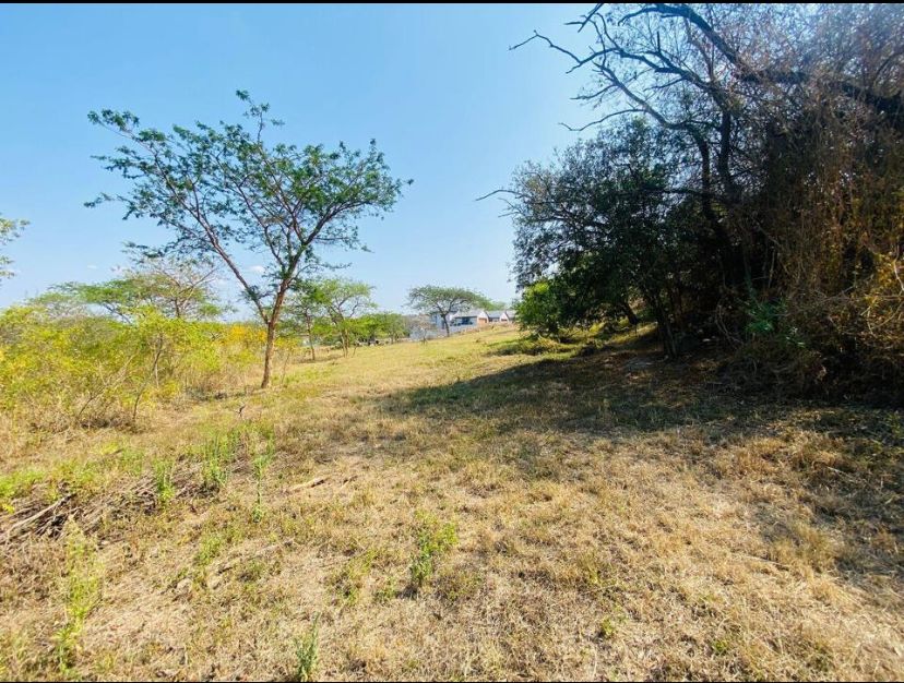 0 Bedroom Property for Sale in Riverside Park Mpumalanga