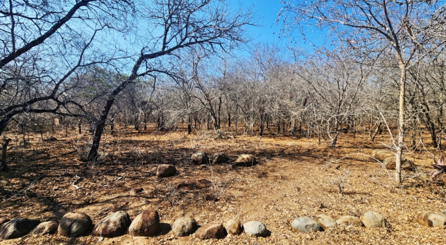 0 Bedroom Property for Sale in Marloth Park Mpumalanga