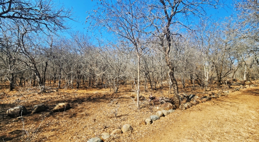 0 Bedroom Property for Sale in Marloth Park Mpumalanga