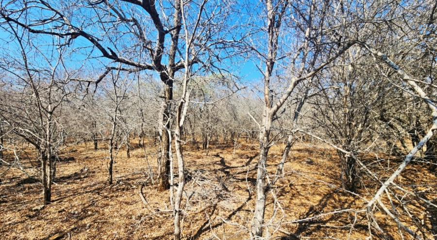 0 Bedroom Property for Sale in Marloth Park Mpumalanga