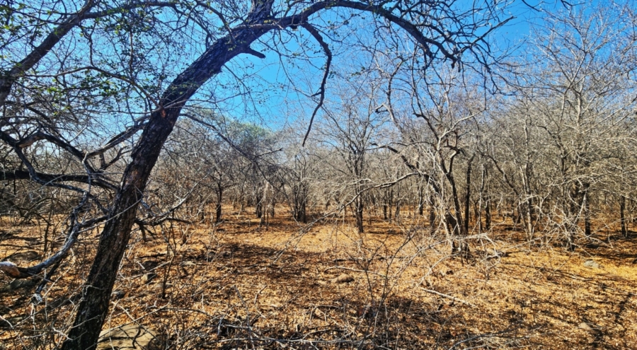 0 Bedroom Property for Sale in Marloth Park Mpumalanga