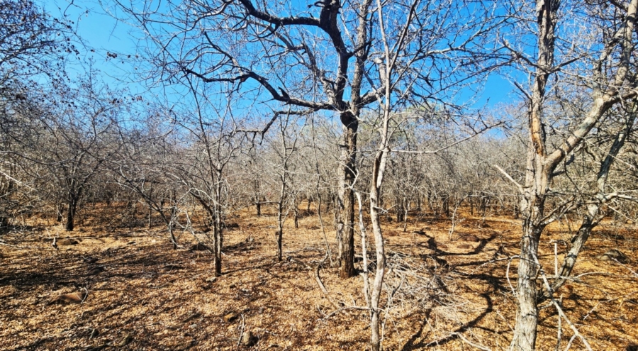 0 Bedroom Property for Sale in Marloth Park Mpumalanga