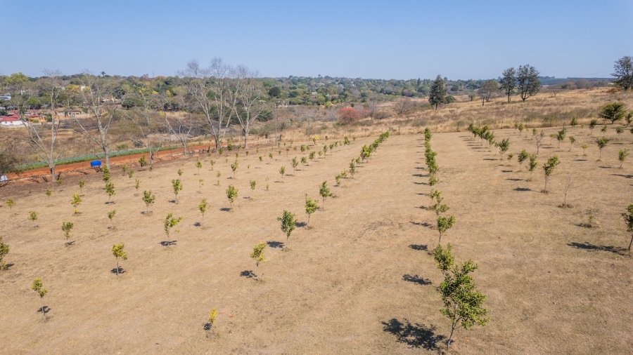 5 Bedroom Property for Sale in White River Estates Mpumalanga