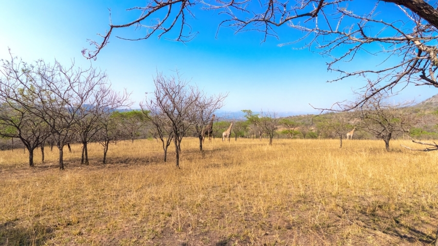 5 Bedroom Property for Sale in Wild Fig Country Estate Mpumalanga