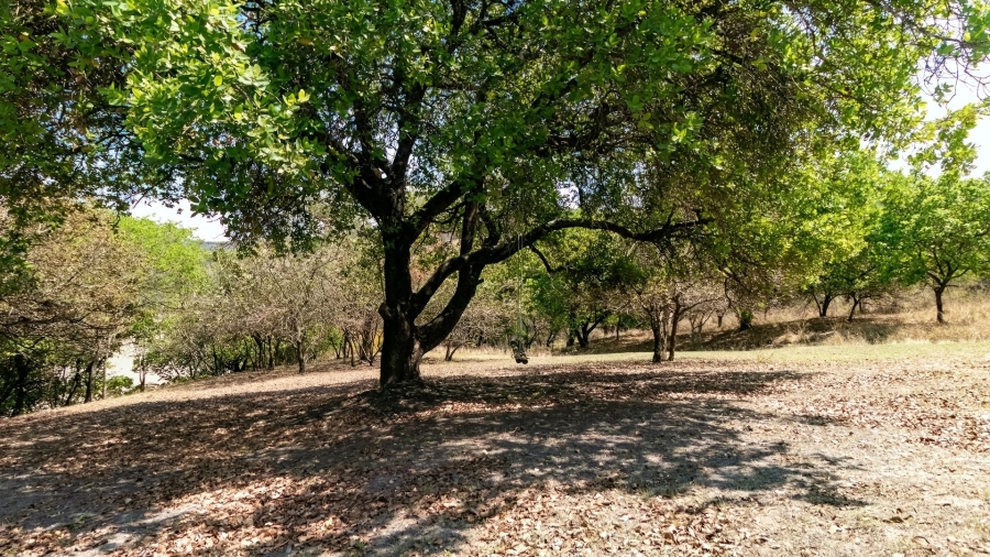 5 Bedroom Property for Sale in Wild Fig Country Estate Mpumalanga