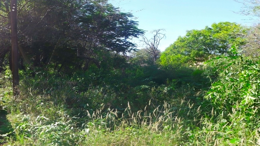 0 Bedroom Property for Sale in Komatipoort Mpumalanga