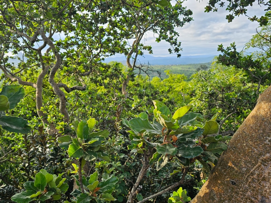 4 Bedroom Property for Sale in Nelspruit Ext 1 Mpumalanga