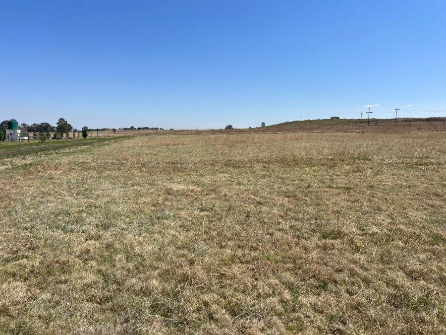 0 Bedroom Property for Sale in Leeufontein A Mpumalanga
