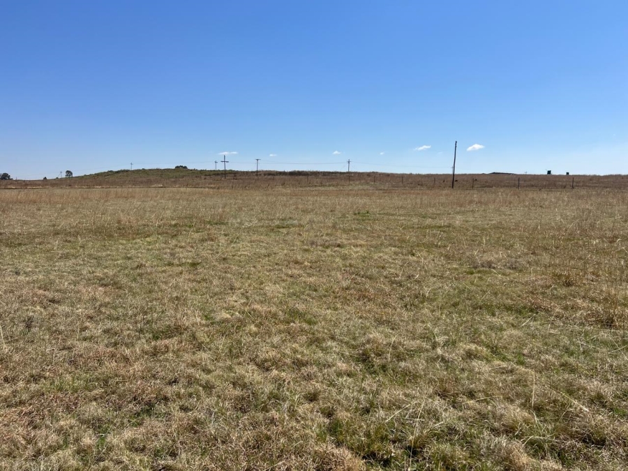 0 Bedroom Property for Sale in Leeufontein A Mpumalanga