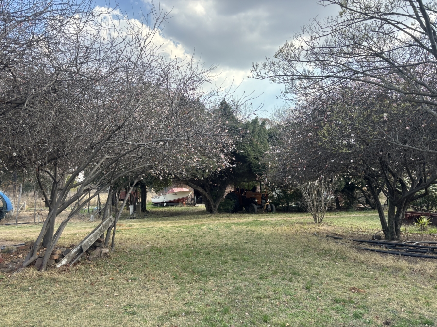 0 Bedroom Property for Sale in Naaupoort Mpumalanga