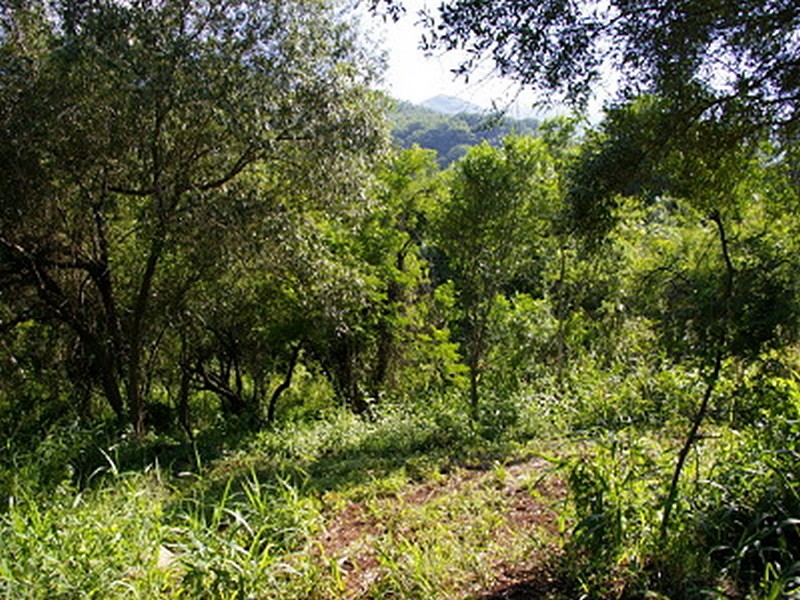 0 Bedroom Property for Sale in Greenstone Wildlife Estate Mpumalanga