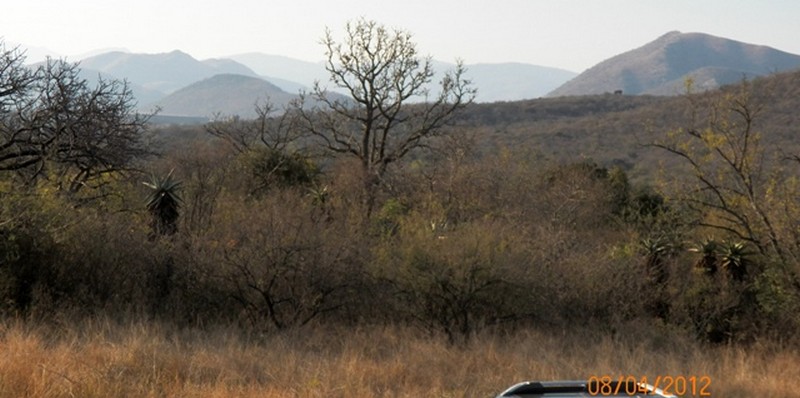 0 Bedroom Property for Sale in Greenstone Wildlife Estate Mpumalanga