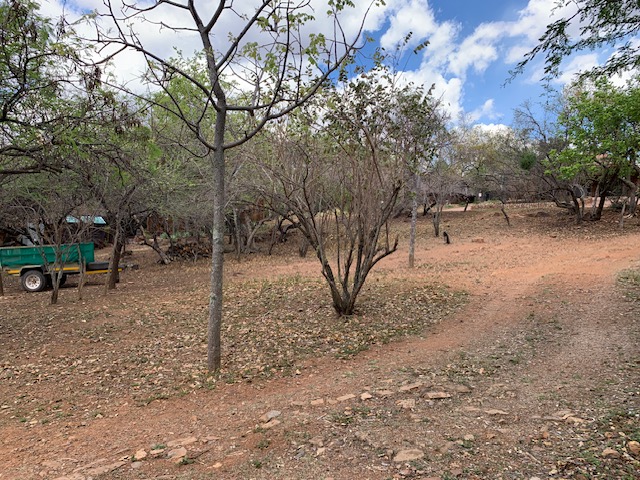 0 Bedroom Property for Sale in Kranspoort Mpumalanga