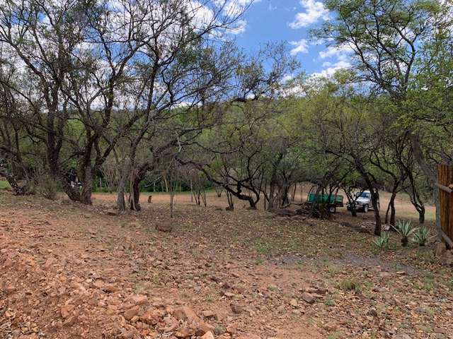 0 Bedroom Property for Sale in Kranspoort Mpumalanga