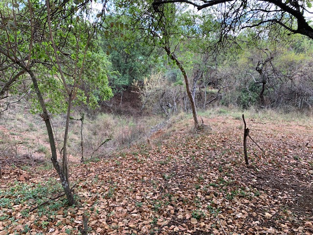 0 Bedroom Property for Sale in Kranspoort Mpumalanga