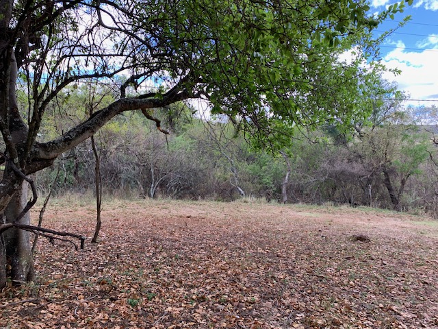 0 Bedroom Property for Sale in Kranspoort Mpumalanga