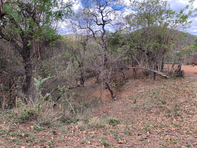 0 Bedroom Property for Sale in Kranspoort Mpumalanga