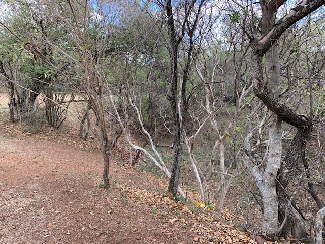 0 Bedroom Property for Sale in Kranspoort Mpumalanga