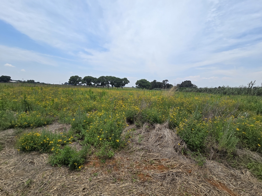 0 Bedroom Property for Sale in Droogefontein Mpumalanga