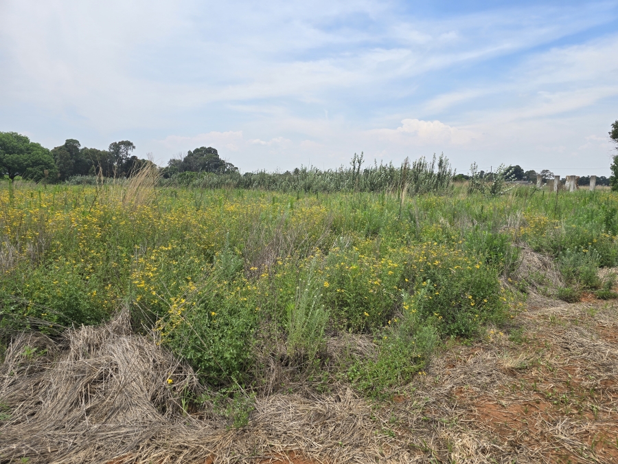 0 Bedroom Property for Sale in Droogefontein Mpumalanga