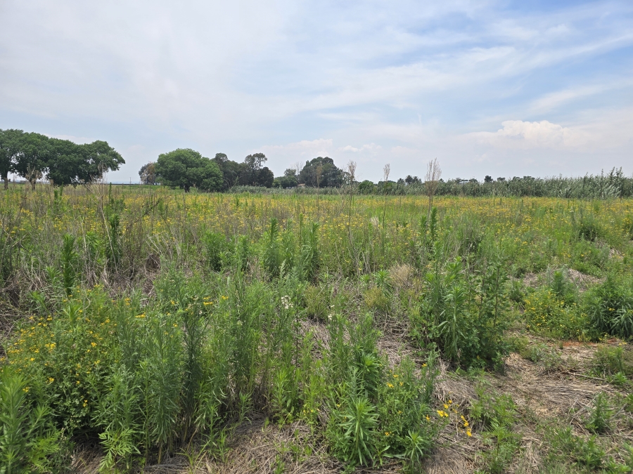 0 Bedroom Property for Sale in Droogefontein Mpumalanga