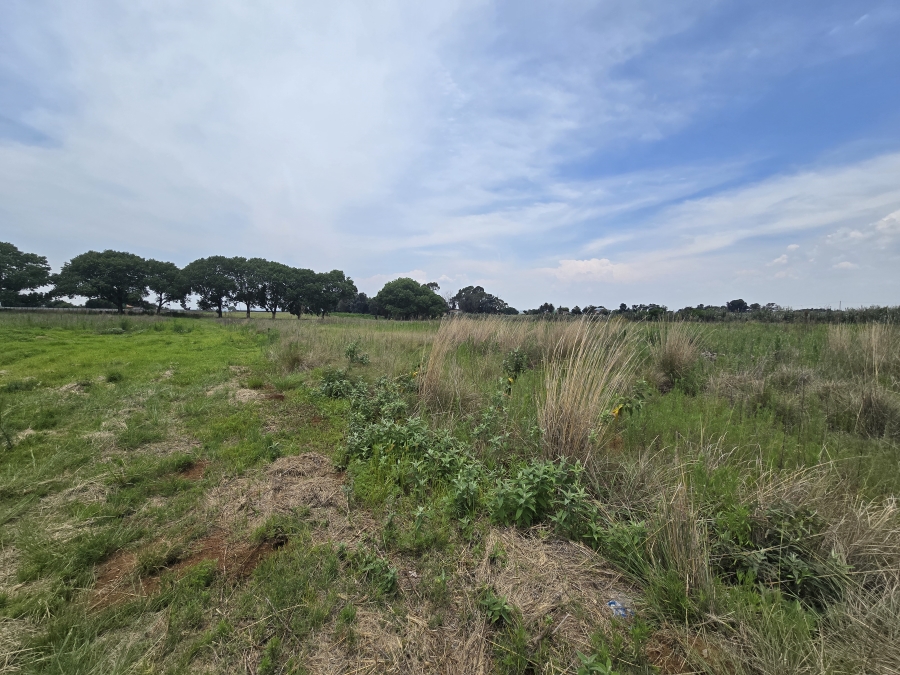 0 Bedroom Property for Sale in Droogefontein Mpumalanga