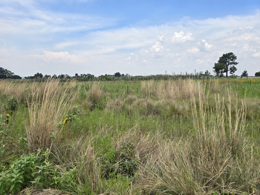 0 Bedroom Property for Sale in Droogefontein Mpumalanga