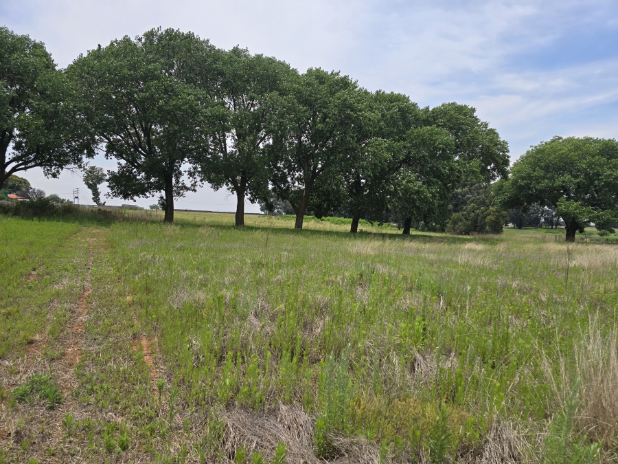 0 Bedroom Property for Sale in Droogefontein Mpumalanga