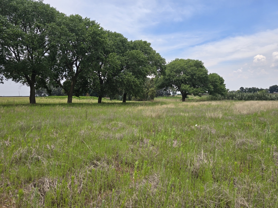 0 Bedroom Property for Sale in Droogefontein Mpumalanga