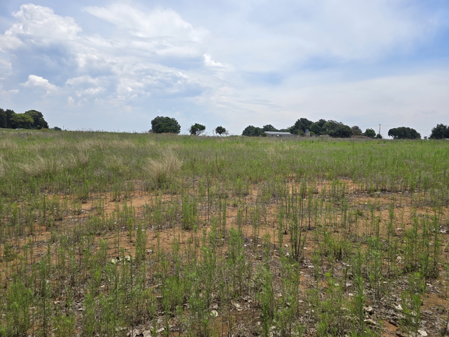 0 Bedroom Property for Sale in Droogefontein Mpumalanga