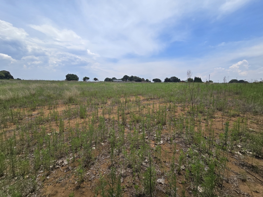 0 Bedroom Property for Sale in Droogefontein Mpumalanga