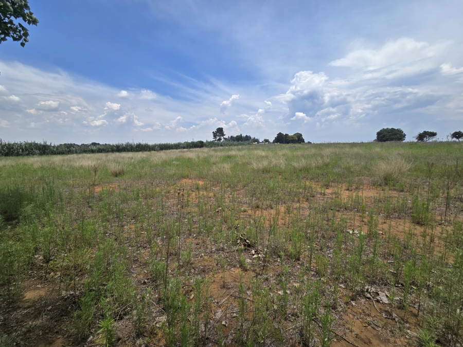 0 Bedroom Property for Sale in Droogefontein Mpumalanga