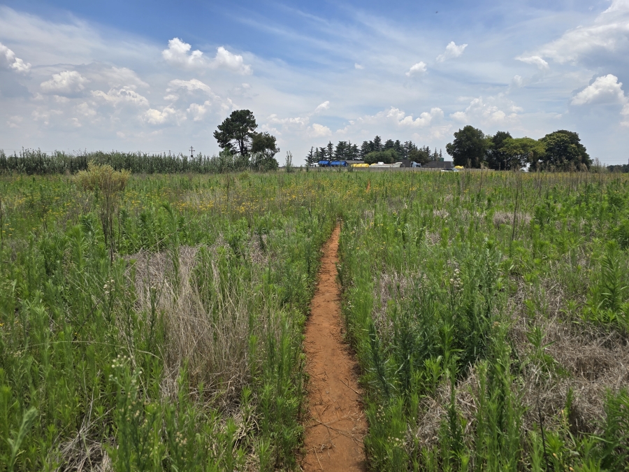 0 Bedroom Property for Sale in Droogefontein Mpumalanga