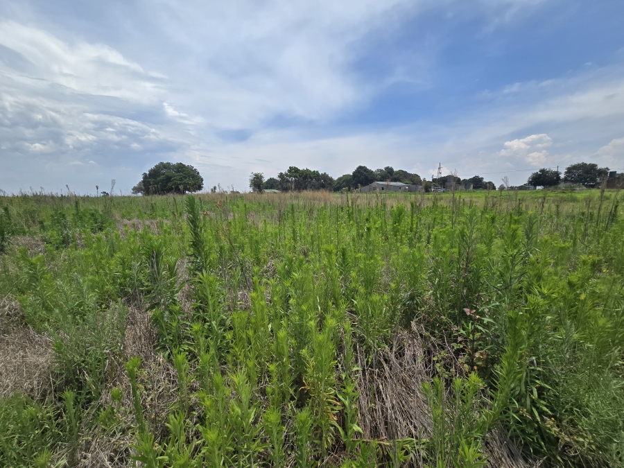 0 Bedroom Property for Sale in Droogefontein Mpumalanga