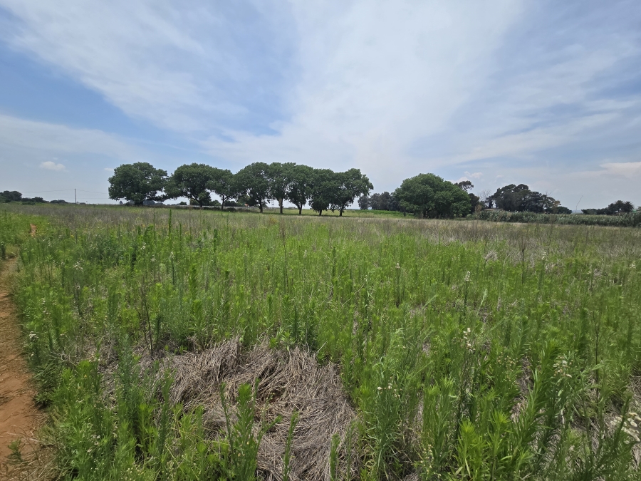 0 Bedroom Property for Sale in Droogefontein Mpumalanga