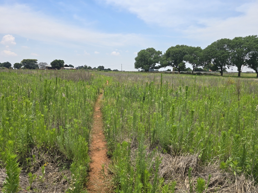 0 Bedroom Property for Sale in Droogefontein Mpumalanga