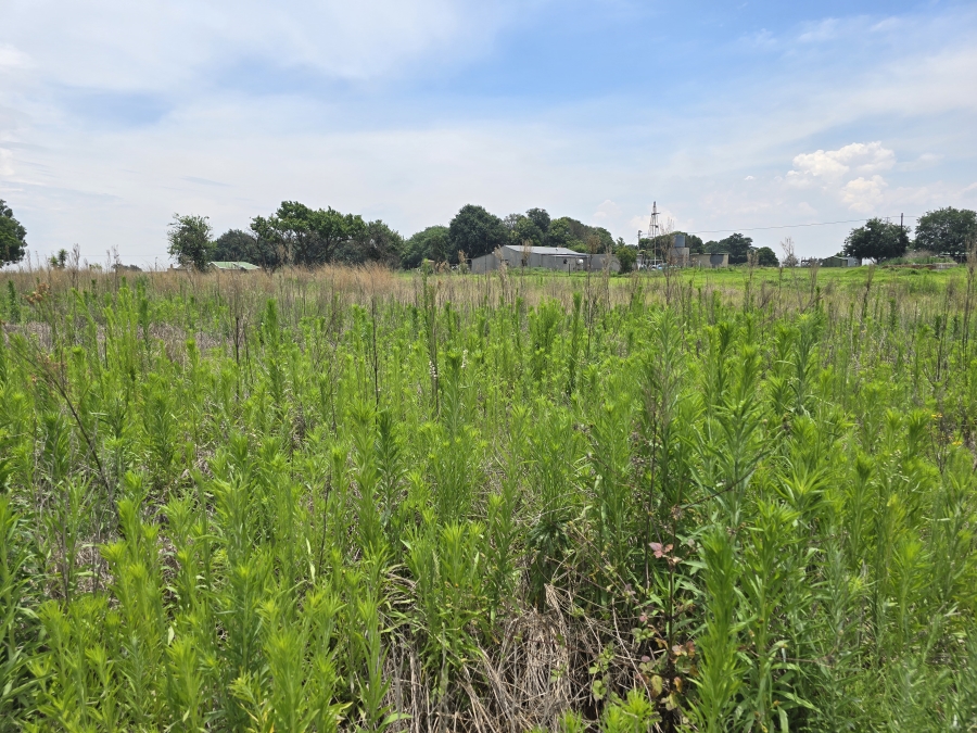 0 Bedroom Property for Sale in Droogefontein Mpumalanga