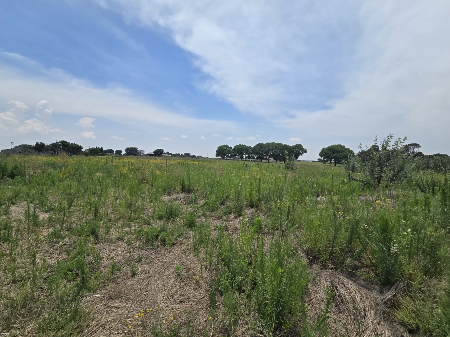 0 Bedroom Property for Sale in Droogefontein Mpumalanga