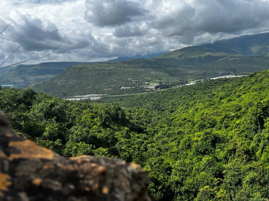 Commercial Property for Sale in Nelspruit Rural Mpumalanga