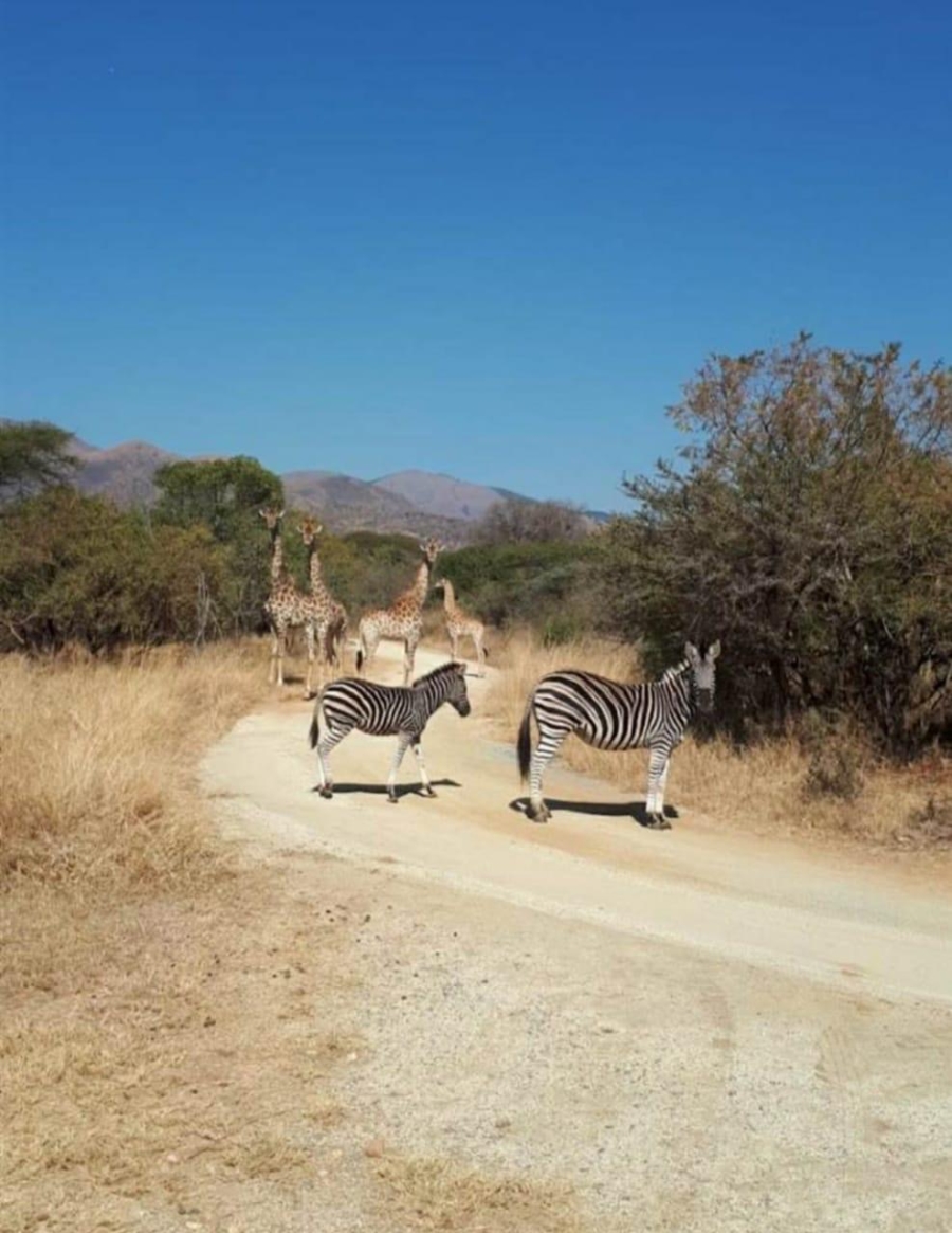 0 Bedroom Property for Sale in Nelspruit Ext 5 Mpumalanga