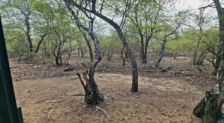 3 Bedroom Property for Sale in Marloth Park Mpumalanga