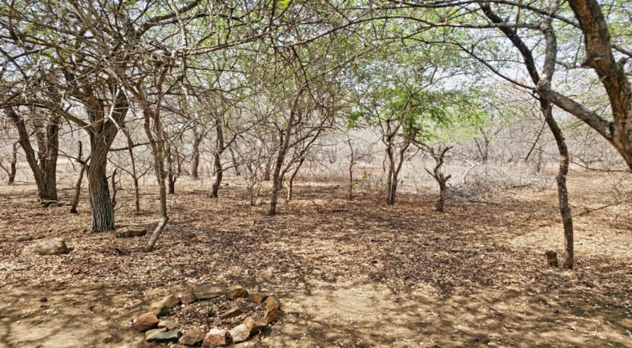 2 Bedroom Property for Sale in Marloth Park Mpumalanga