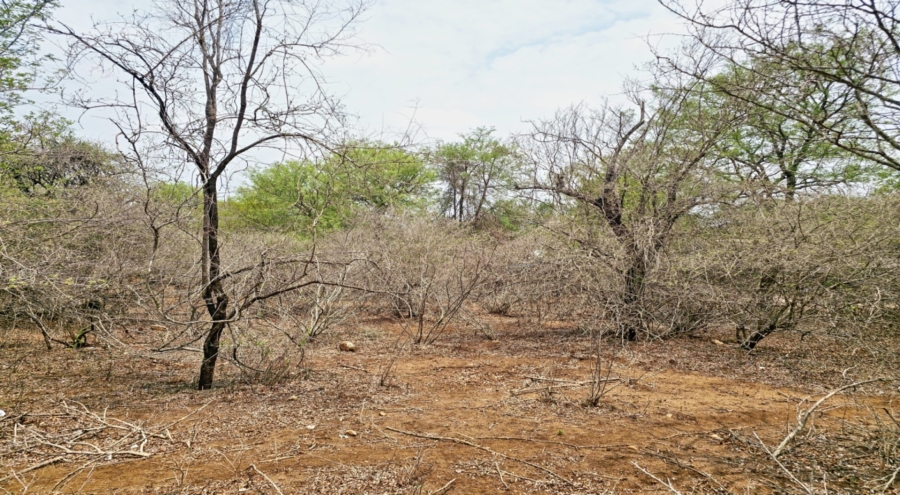 0 Bedroom Property for Sale in Marloth Park Mpumalanga